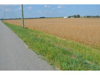 Property photo 57 - REAL ESTATE AUCTION - 604+/- ACRES IN 14 TRACTS IN MERCER CO., OHIO
